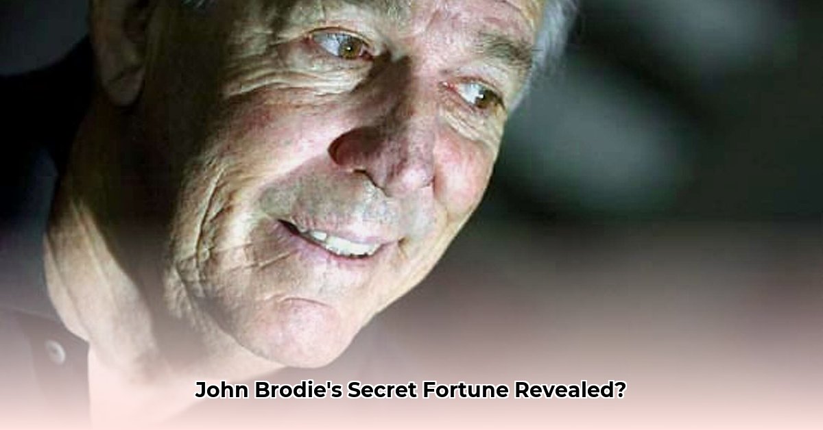 john-brodie-net-worth